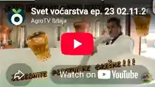 Video gostovanje Armina Tota o rakiji i rakijaškom festivalu